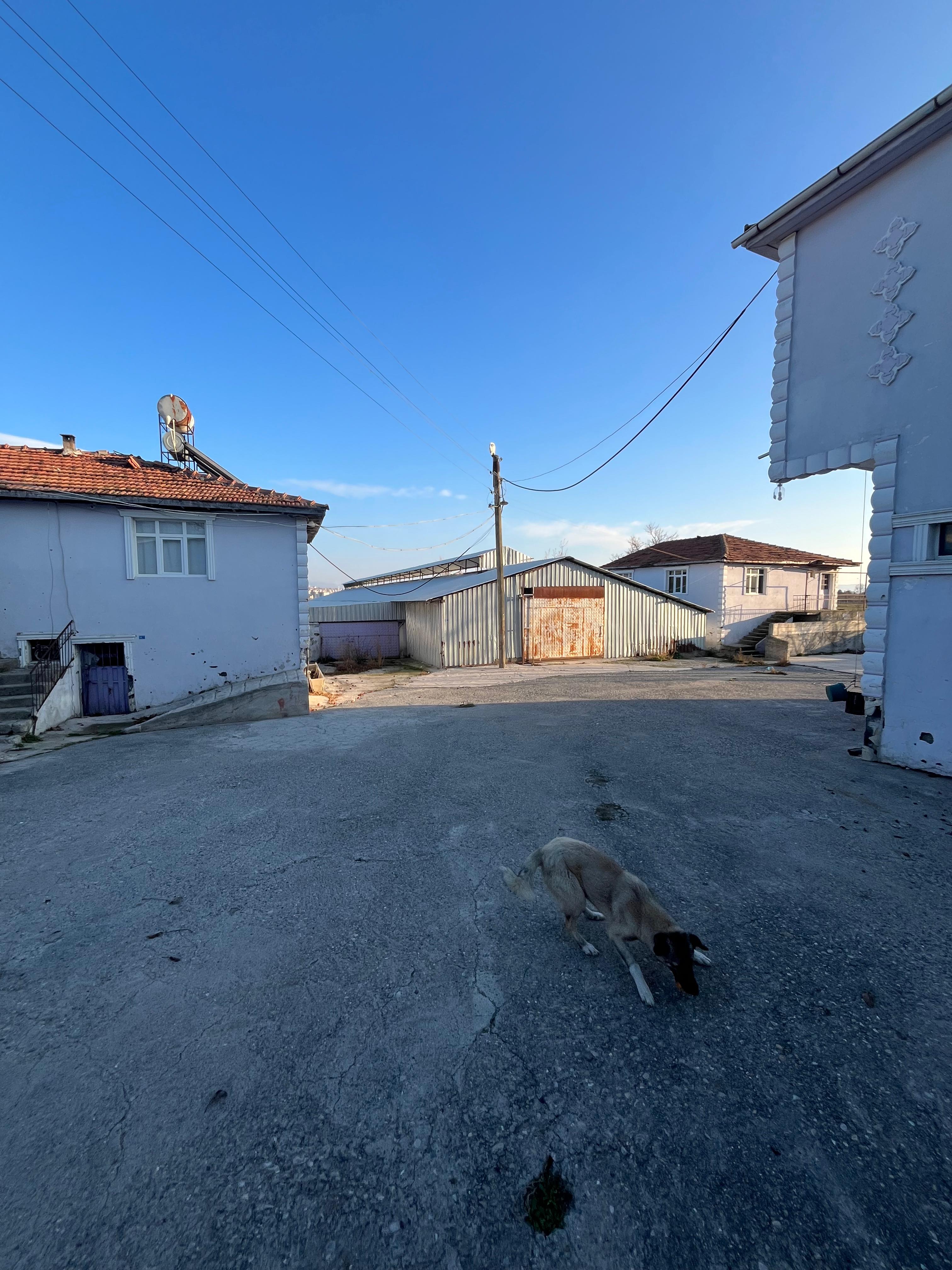 MABEL'DEN KURULU DÜZEN BESİ ÇİFTLİĞİ